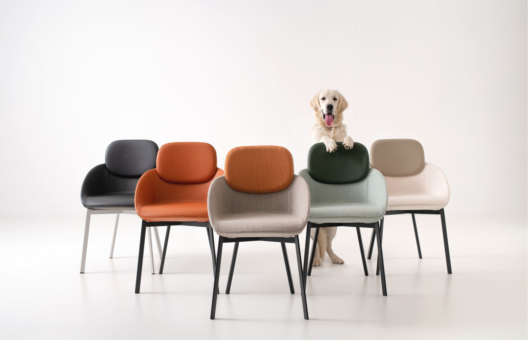 TATA<br>ARMCHAIR<br><br><br>